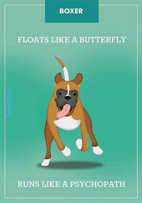 11 (More) Honest Breed Slogans That Are Totally On Point | Boxer dogs ...