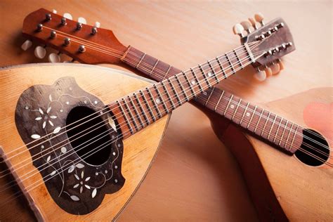 Types of stringed instruments - puzzlejord