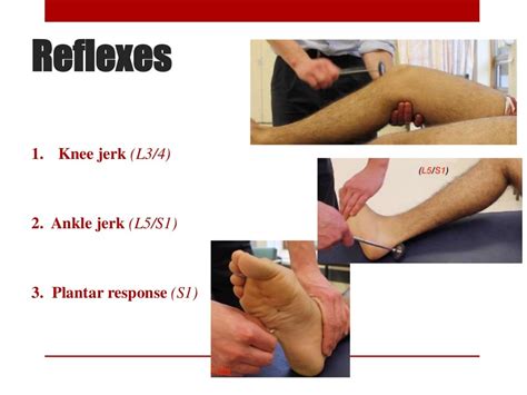 Lower limb neurological examination