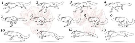 scared wolf tutorial | Animated drawings, Animation cycle, Running drawing