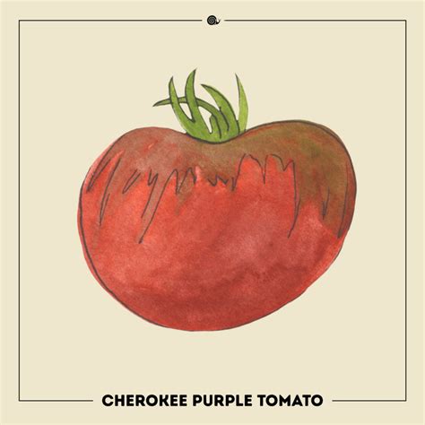 Cherokee Purple Tomato • Slow Food USA