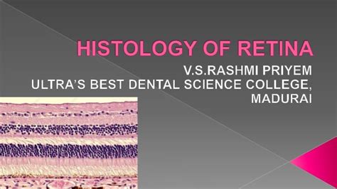 Histology of Retina