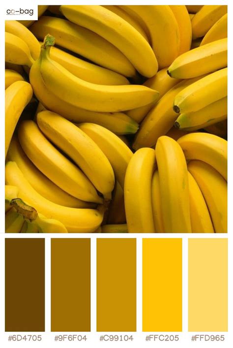 Yellow banana color palettes | Palet warna, Warna, Desain