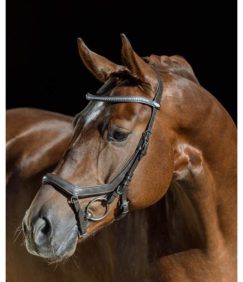 Bridle Anatomical Pro Deluxe Wide - Kramer Equestrian