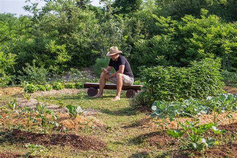 Why You Should Start A Mandala Garden and How To Build One