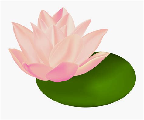 Lily Pads Clip Art , Free Transparent Clipart - ClipartKey