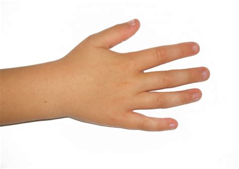 Free Images : finger, child, human, arm, nail, left, fingers, skin, nails, fair, hand model ...