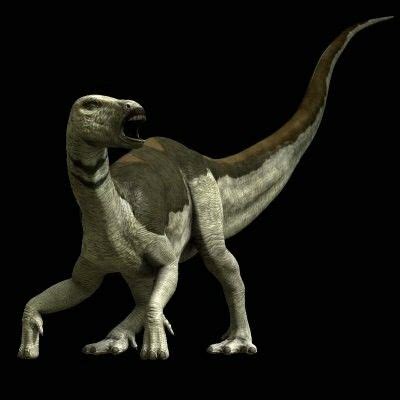 Tenontosaurus Dinosaur Bones, Dinosaur Fossils, Plant Eater, Rib Bones ...