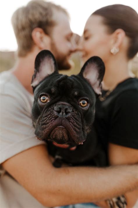 Couples photoshoot with dog | Family pet photography, Dog photography poses, Dog photoshoot