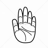 Hand Palm Drawing At GetDrawings  Free Download sketch template