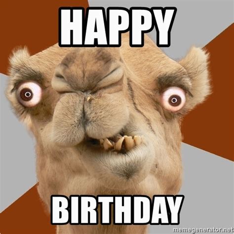 Crazy Happy Birthday Memes Happy Birthday Crazy Camel Lol Meme Generator | BirthdayBuzz