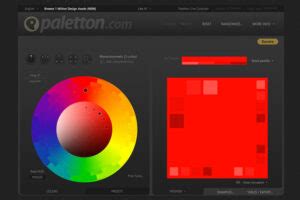 Popular colour palette websites | Behind The Scenes