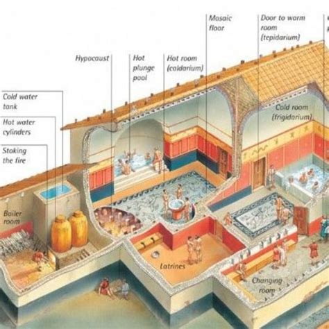 The curious life in the ancient Roman baths | Roman baths, Ancient romans, Roman empire