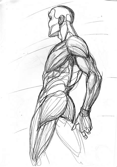 Pin de Akcow castaño em anatomia | Desenho da figura humana, Desenhando esboços, Figuras humanas