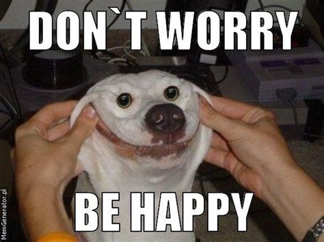 85 Happy Memes to Brighten Your Day and Make You Smile | Make you smile, Funny pictures fails