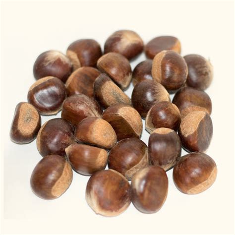 Natural Chinese chestnuts,Thailand price supplier - 21food