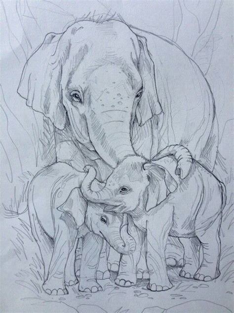 Registration | Elephant drawing, Elephant sketch, Animal drawings