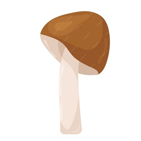 Premium Vector | Mushroom on white background in flat style isolated vector