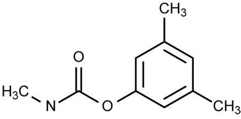 Chemical Structures Starting with the Letter X