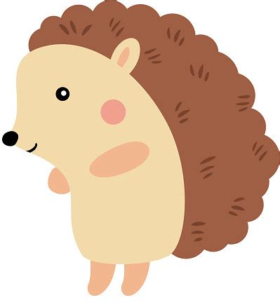 Cute Brown Hedgehog Isolated On White Stock Illustration - Download Image Now - Animal, Beauty ...