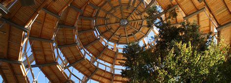 Treetop trail in Bavarian Forest National Park - | Bavaria | Bavarian forest, National parks ...