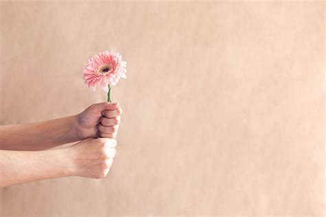 Two red ribbons in the hands of a woman on a white background ...