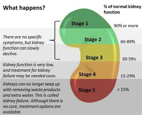 Pin by Dr GMY on kidney | Kidney disease awareness, Kidney health, Kidney disease diet