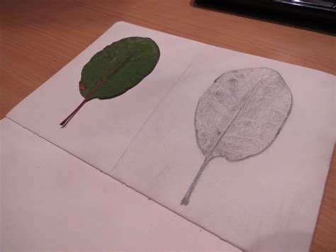 Another leaf more shading : r/learntodraw