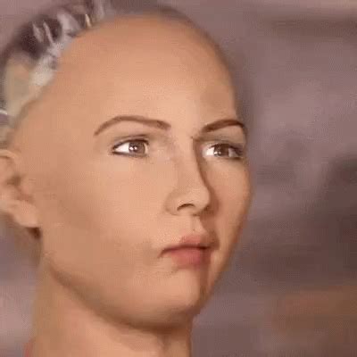 Ai Sophia The Robot Yikes GIF | GIFDB.com