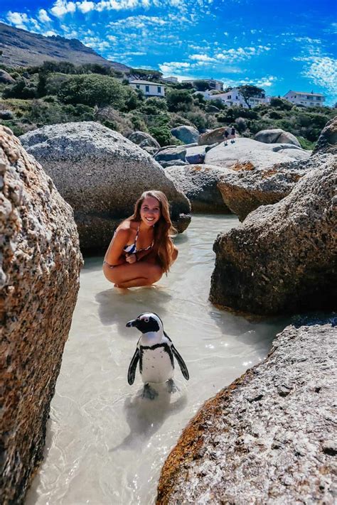 Boulders Beach Guide: Visiting the Penguin Beach in Cape Town, South ...