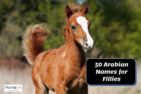 400 Lovely Baby Horse Names for Your Colt & Filly