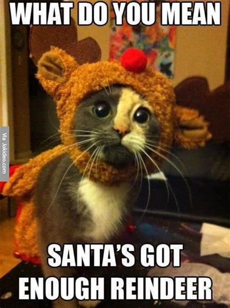 100 Funniest Merry Christmas Memes - SayingImages.com