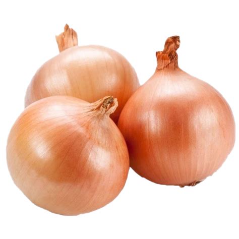 Onion Free PNG - PNG Play