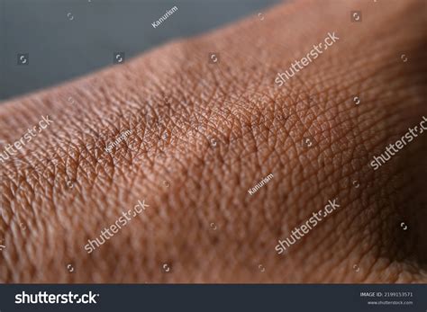 Mans Hand Detailed Hair Skin Texture Stock Photo 2199153571 | Shutterstock