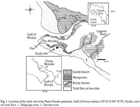 Crustaceans from a tropical estuarine sand-mud flat, Pacific, Costa Rica, (1984-1988) revisited