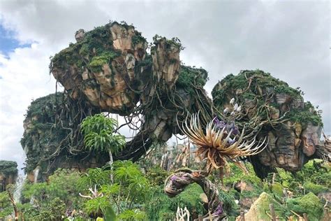 How to Ride Avatar Flight of Passage Without the Wait - Trips With Tykes | Animal kingdom disney ...