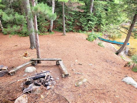 Big Trout Lake Campsite #31 in Algonquin Park | Campsite Report