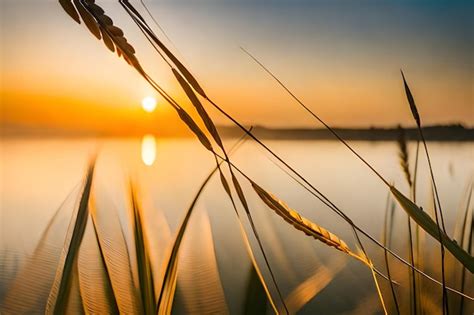 Premium Photo | A sunset over a lake with a blade of grass in the ...