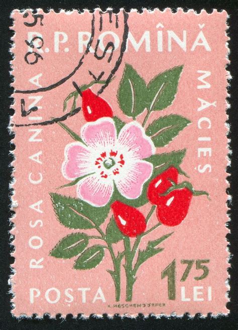 Pin by Melissa Bishop on Vintage Stamps in 2023 | Postage stamp design ...