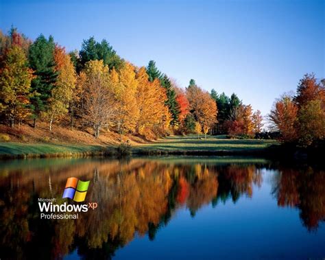 🔥 Free Download Windows Xp Nature Wallpaper by @lfox29 | WallpaperSafari