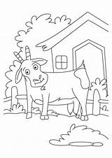 The Three Billy Goats Gruff Coloring Pages  Home sketch template