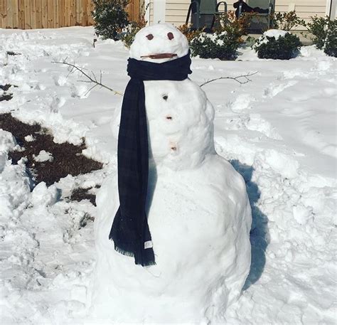 GALLERY: Snow People Invade Charleston: How Charleston Got Creative ...