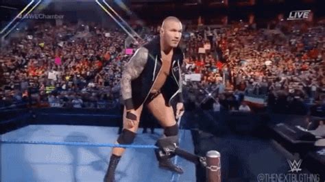 Randy Orton Elimination Chamber GIF - RandyOrton EliminationChamber RKO ...