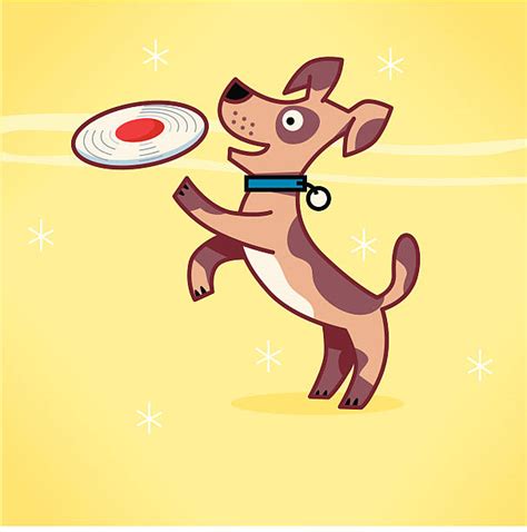 Dog Catching Frisbee Illustrations, Royalty-Free Vector Graphics & Clip ...