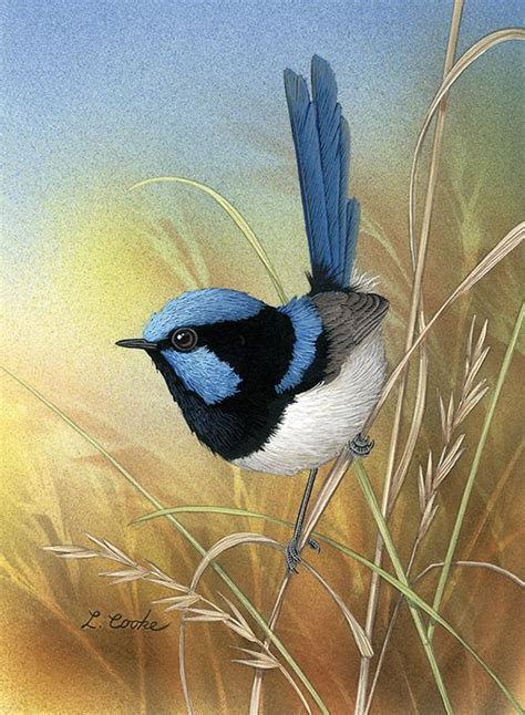 'Superb Blue Wren', by Lyn Cooke www.artpublishing.com.au www.lyncooke ...