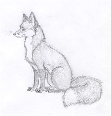 fox+sketching | Fox Sketch - New 2012 by Viccinor on DeviantArt | Animal drawings sketches ...