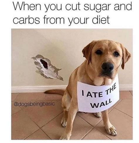 Diet Memes | Fun