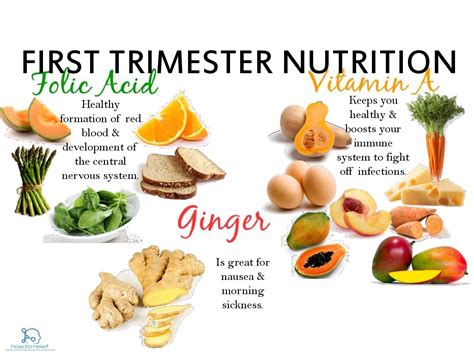 First trimester food - Which Food to Eat & Avoid » How To Relief