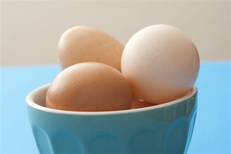 Free Stock Photo 13011 Fresh hens eggs in a blue ceramic bowl | freeimageslive