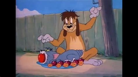 Tom and Jerry Cartoon network - YouTube